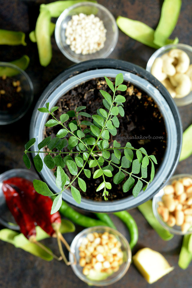 Tadka ingredients