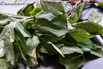 Gongura Chicken Andhra Style or Gongura chicken fry