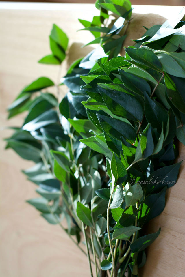 Curry leaves