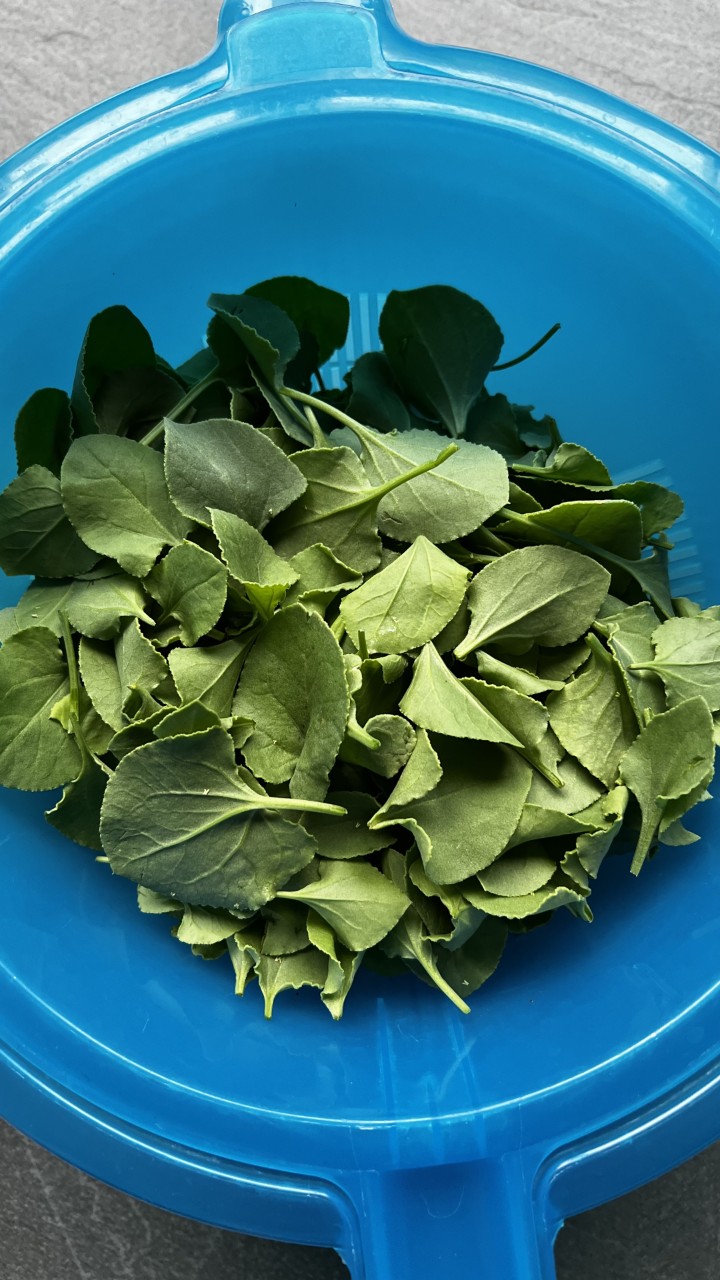 chukka aaku/Khatta palak leaves in a blue bowl